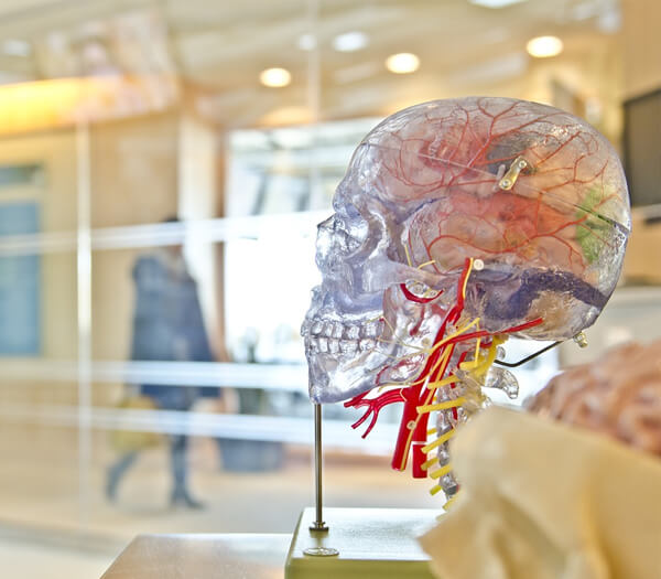 Neurologie
